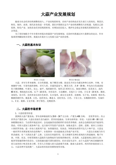 大蒜产业发展规划