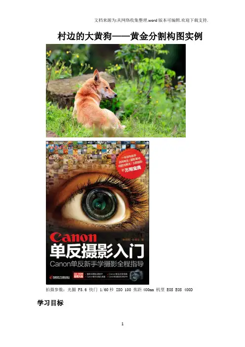黄金分割构图在摄影中的运用实例