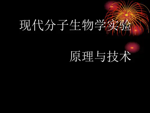 现代分子生物学实验原理与技术