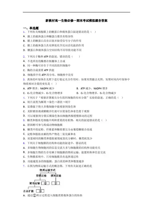 新教材高一生物必修一期末考试模拟题含答案