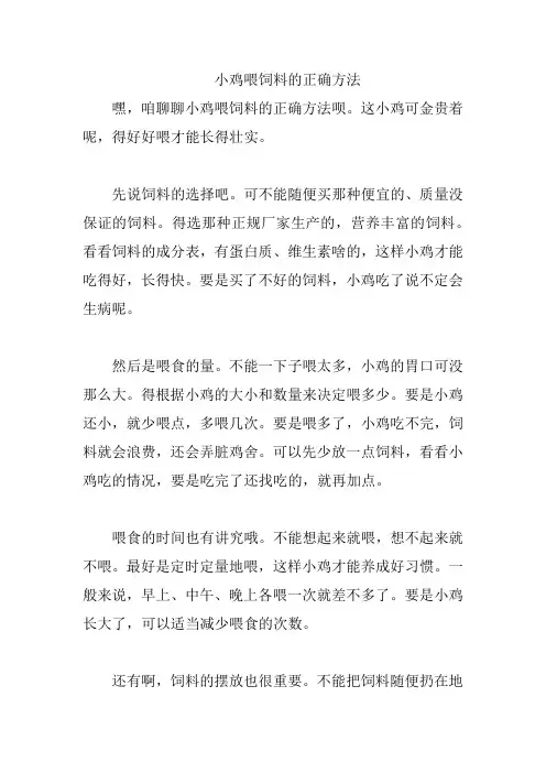 小鸡喂饲料的正确方法