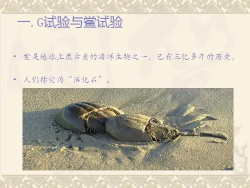 G试验检测及鲎试验检测