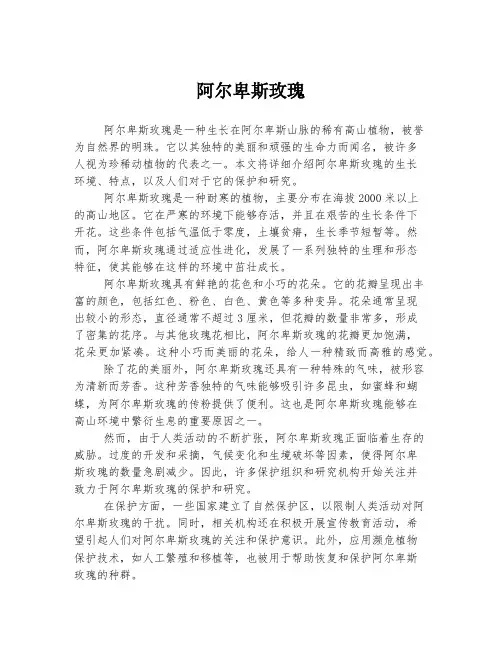 阿尔卑斯玫瑰