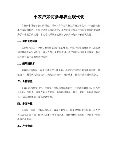 小农户如何参与农业现代化