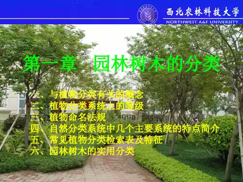 4 第一章 园林树木的分类
