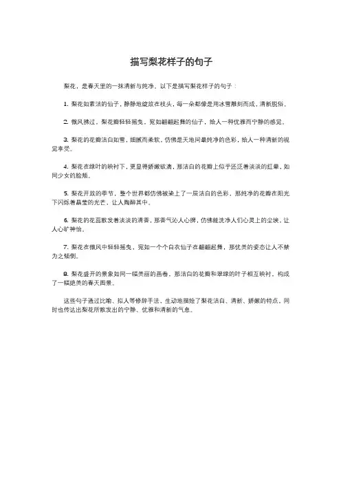 描写梨花样子的句子