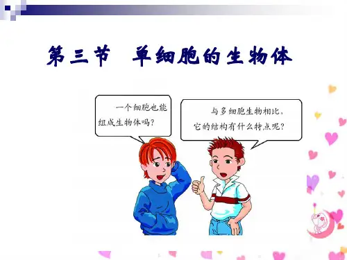 【初中生物】单细胞的生物体PPT课件