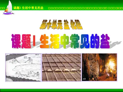 生活中常见的盐(自)