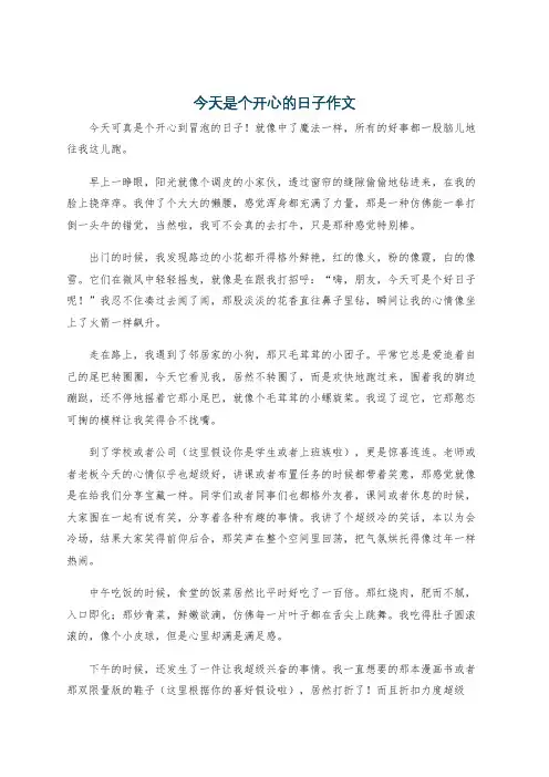 今天是个开心的日子作文