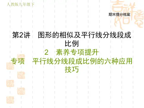人教版九年级下册数学期末提分练案 素养专项提升 平行线分线段成比例的六种应用技巧
