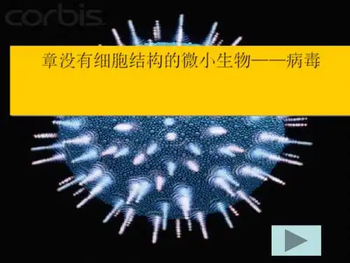 【人教版】初中生物八年级上册第五单元第五章病毒(共37张ppt)