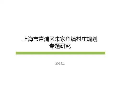 朱家角村庄规划专题研究