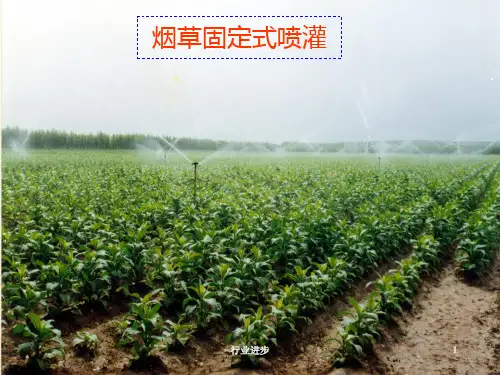 喷灌工程技术理论实操