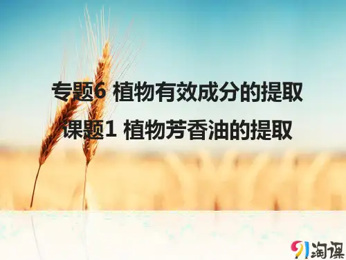 课件1：6.1 植物芳香油的提取