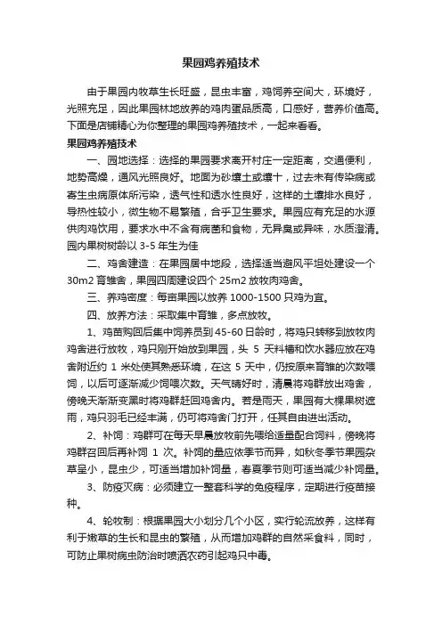 果园鸡养殖技术