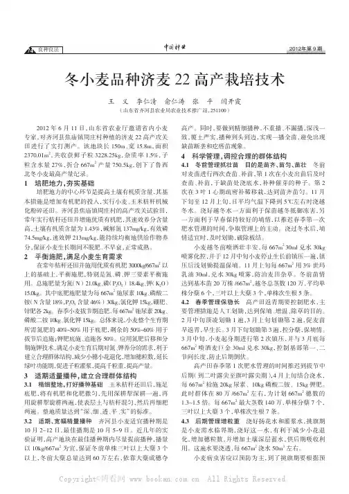 冬小麦新品种济麦22高产栽培技术