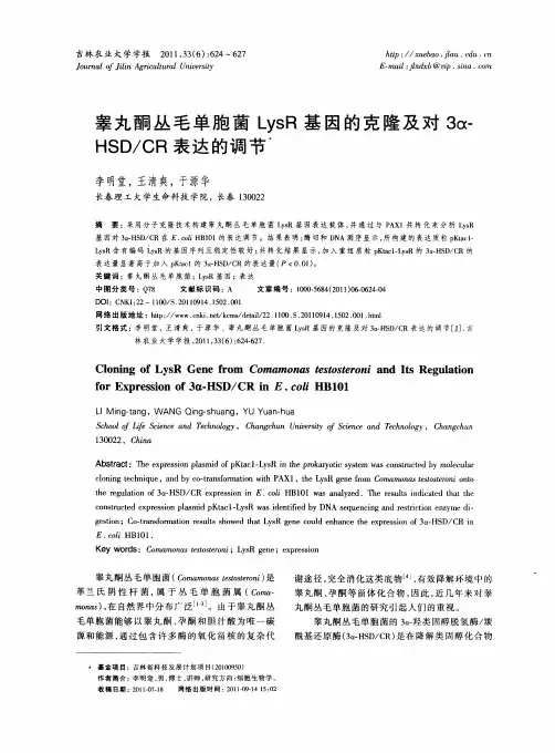 睾丸酮丛毛单胞菌LysR基因的克隆及对3a(HSD／CR表达的调节