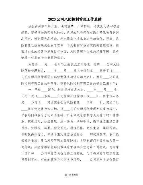 2023公司风险控制管理工作总结(2篇)