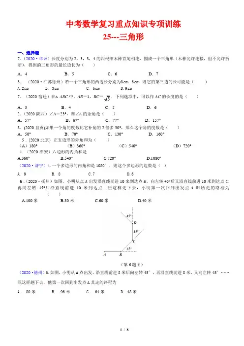 中考数学复习重点知识专项训练25---三角形