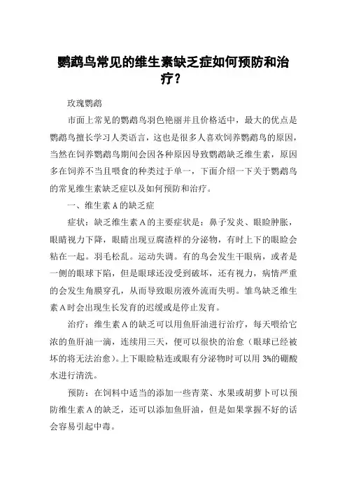 鹦鹉鸟常见的维生素缺乏症如何预防和治疗？