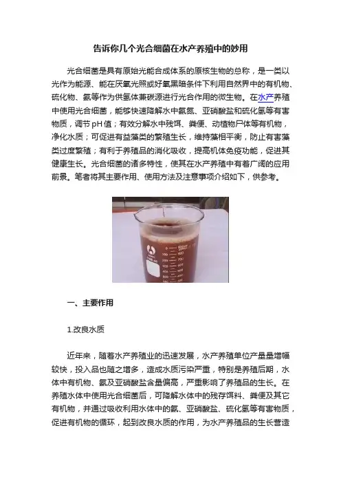 告诉你几个光合细菌在水产养殖中的妙用