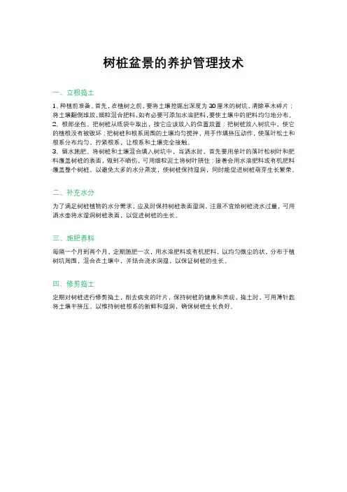 树桩盆景的养护管理技术
