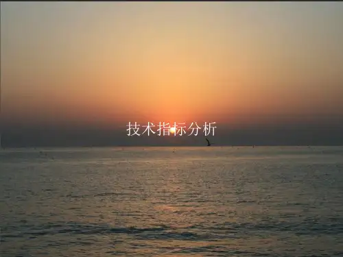技术指标分析PPT讲义