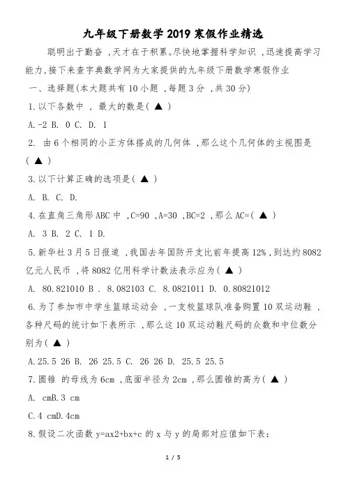 九年级下册数学寒假作业精选
