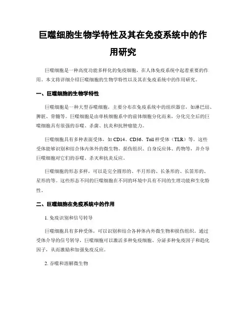 巨噬细胞生物学特性及其在免疫系统中的作用研究