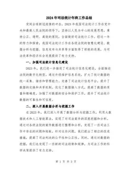 2024年司法统计年终工作总结