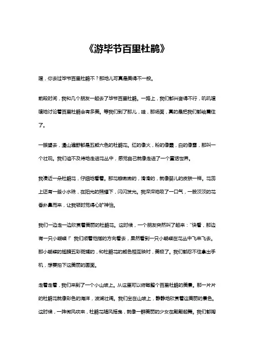 游毕节百里杜鹃作文