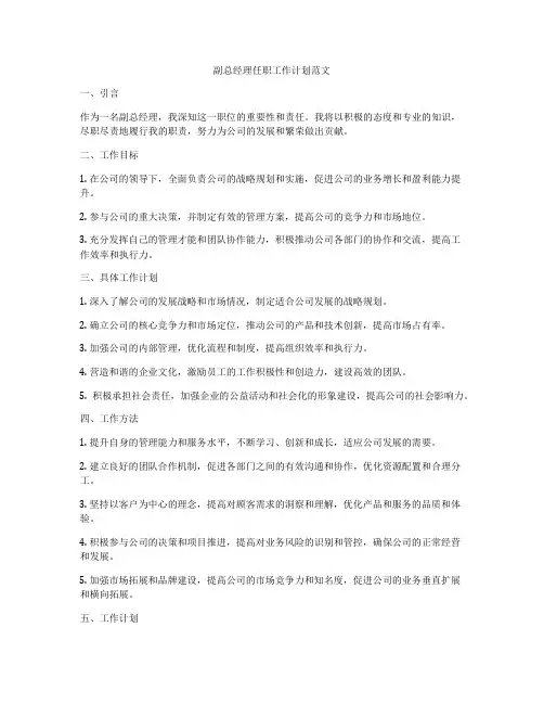 副总经理任职工作计划范文