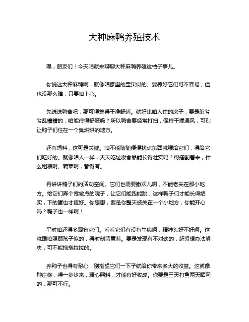 大种麻鸭养殖技术