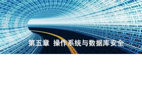 《信息安全概论》第5章-操作系统与数据库安全