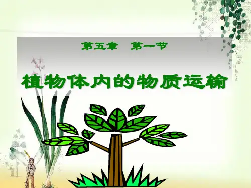 【一线精品】  植物体内的物质运输   最新优秀公开PPT课件