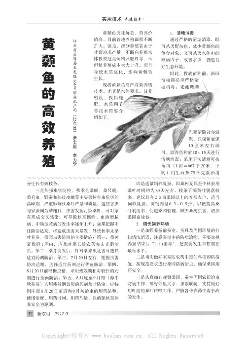 黄颡鱼的高效养殖