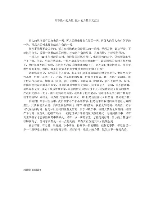 形容微小的力量 微小的力量作文范文