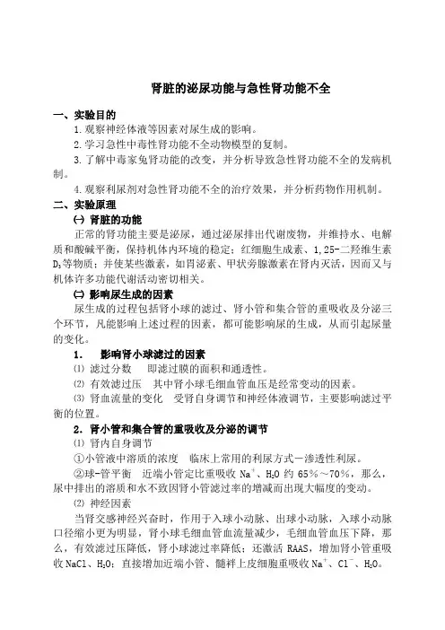 肾衰实验