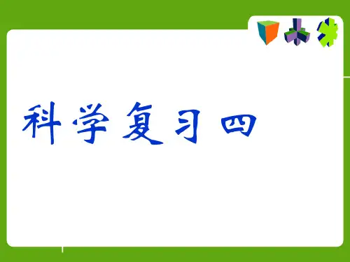 《地球的运动》复习