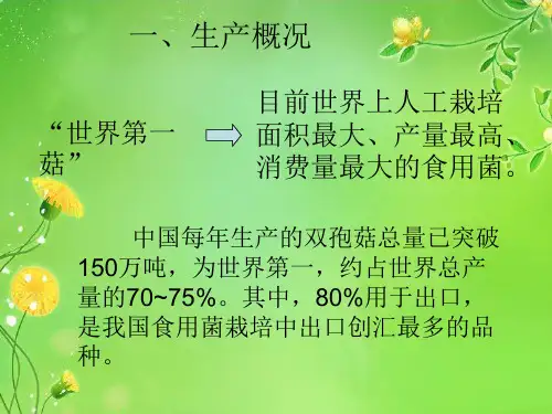双孢蘑菇的设施栽培