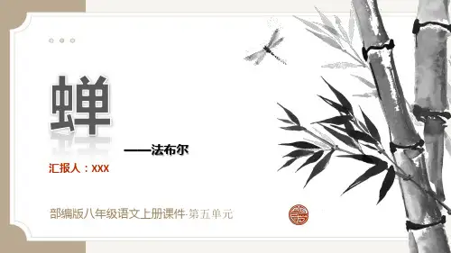编版八年级语文上册第五单元《蝉》PPT课件