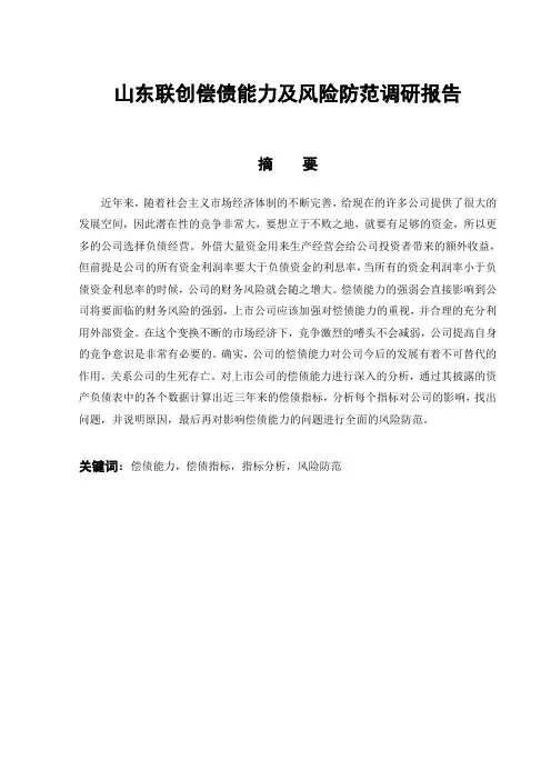 山东联创偿债能力及风险防范调研报告