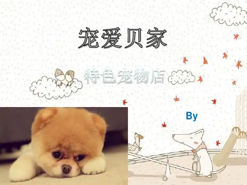 宠物店创业计划书.ppt