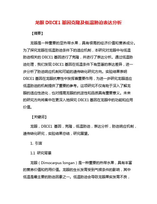 龙眼DlICE1基因克隆及低温胁迫表达分析