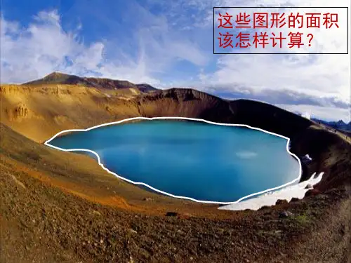 定积分的概念讲课稿课件