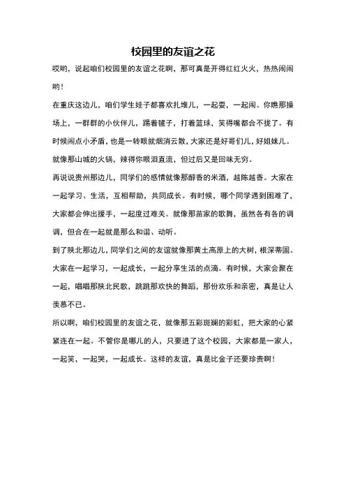 校园里的友谊之花