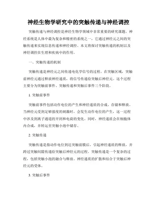 神经生物学研究中的突触传递与神经调控