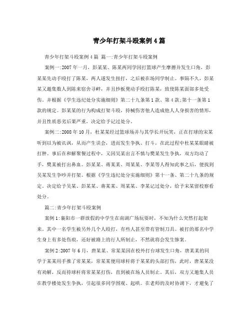 青少年打架斗殴案例4篇