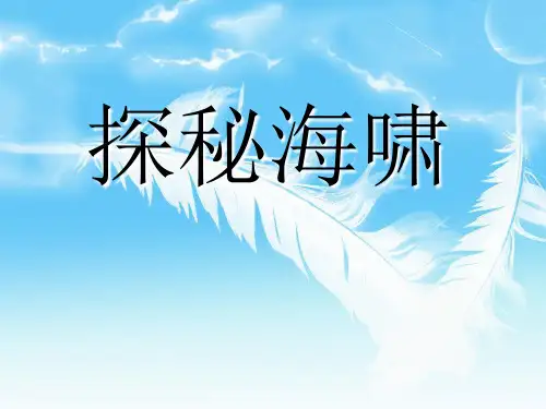 海啸ppt