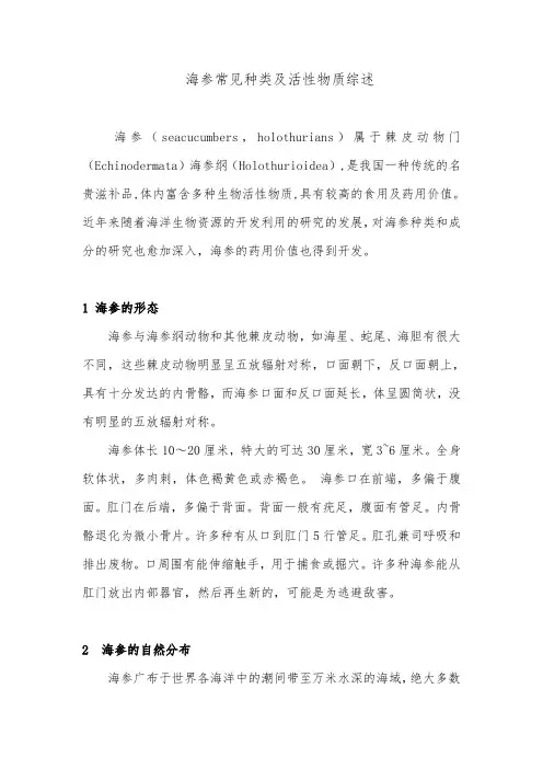 海参常见种类及活性物质综述